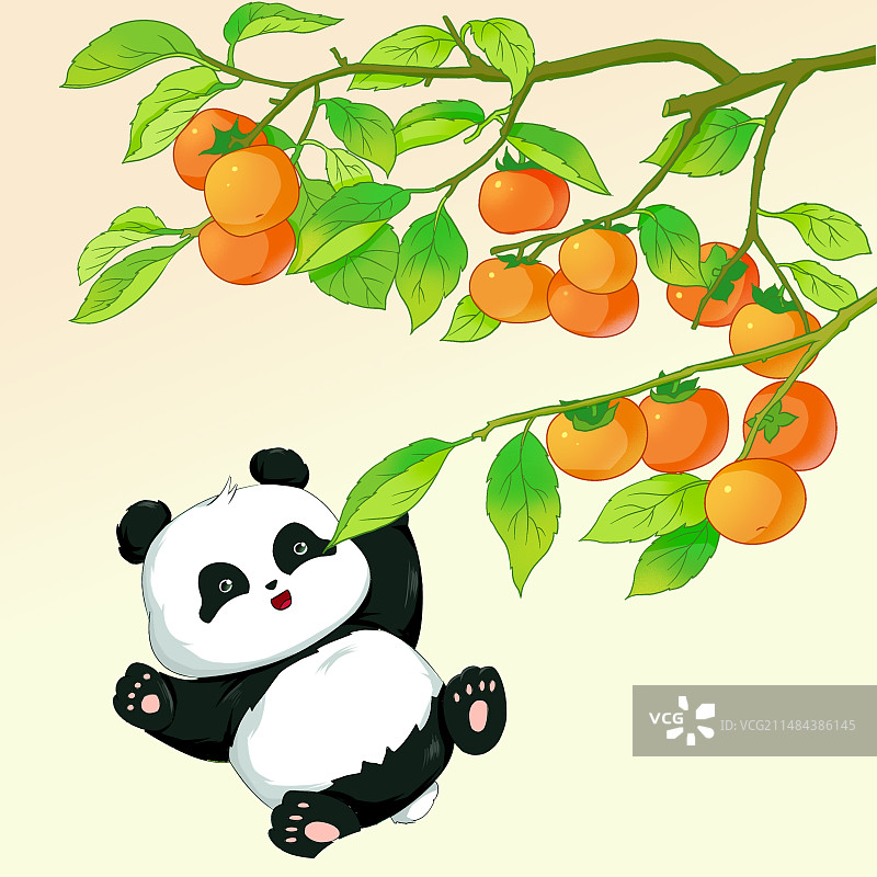 熊猫和柿子插画图片素材
