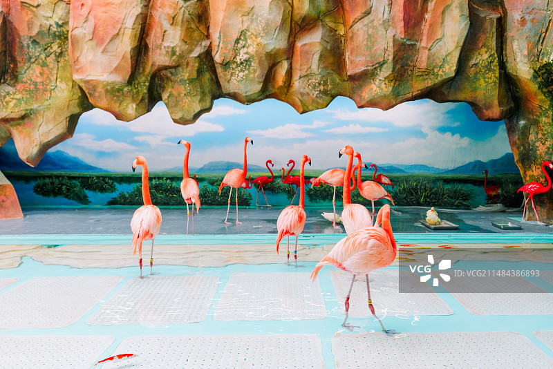 哈尔滨教堂老建筑极地馆动物海洋动物图片素材