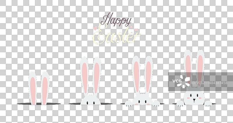 白色复活节兔子贺卡图片素材