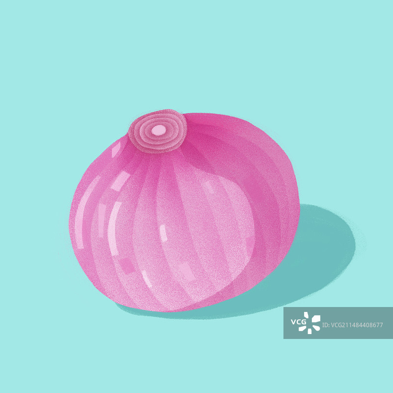 美食食材洋葱圆葱手绘插画图片素材