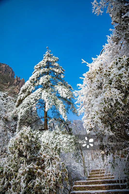 黄山冬季冰雪雾凇覆盖的自然风光图片素材