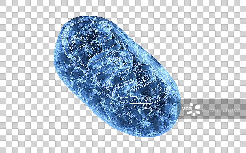 蓝色科技结构线粒体3D渲染图片素材