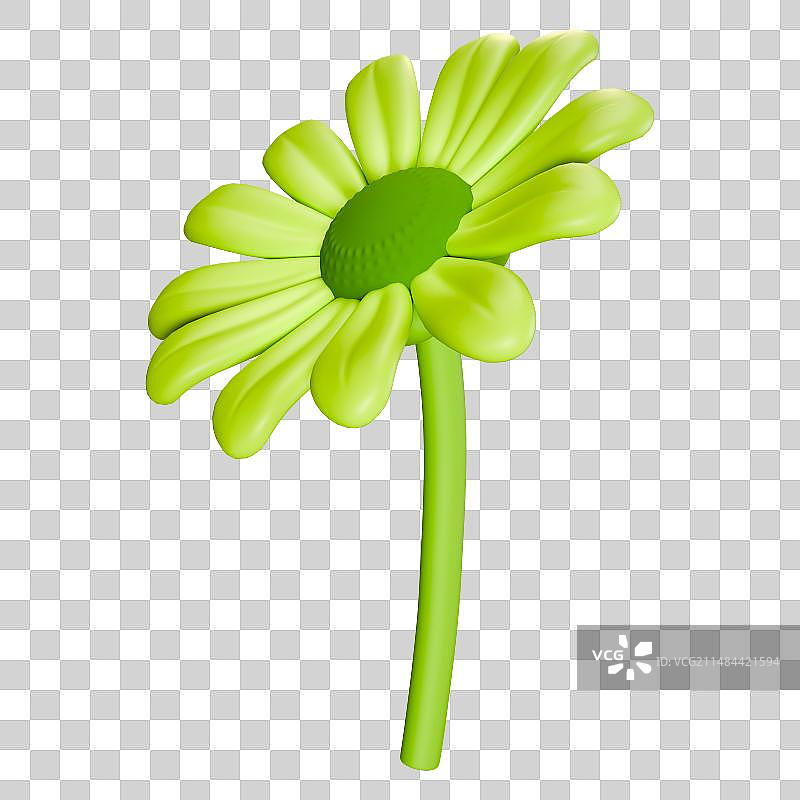 3D立体鲜花元素春天春日踏青春游插画图片素材