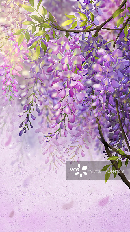 手绘植物素材紫藤花图片素材
