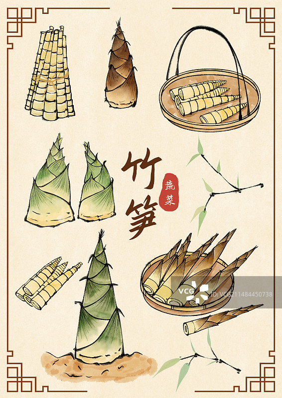 竹笋国风插画图片素材