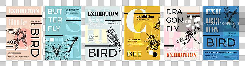 鸟类海报艺术音乐节邀请函版面设计图片素材