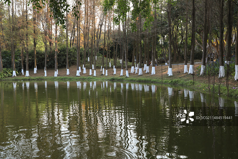 圆明新园图片素材