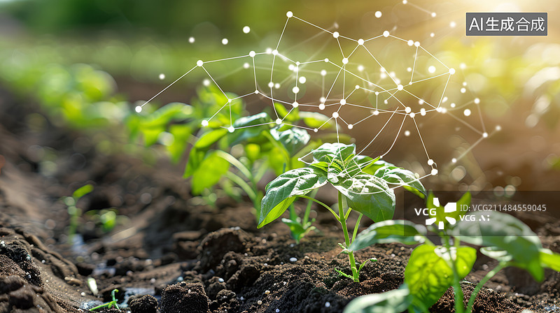 【AI数字艺术】智慧农业概念，人工智能：实时传感器技术，精确监测对农业生产力至关重要的环境因素，如湿度、温度和日照图片素材