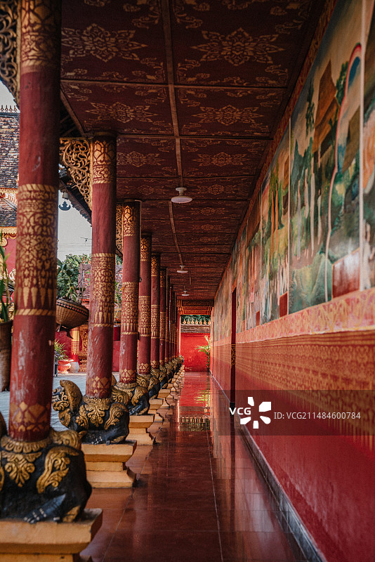 中国云南西双版纳风景图片素材