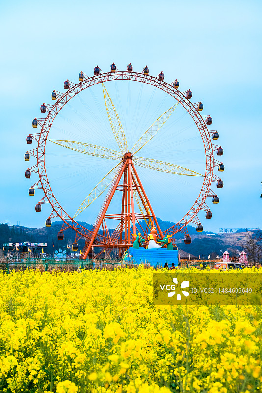 贵州黔南贵定金海雪山|春天下的万亩油菜花田图片素材