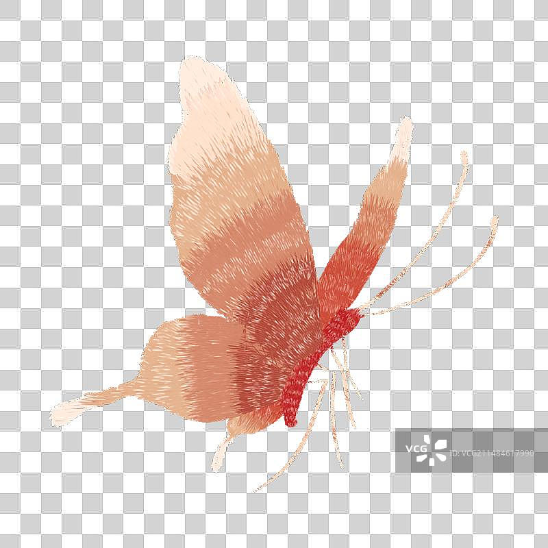 手绘刺绣风格肌理纹理粉色蝴蝶元素图片素材