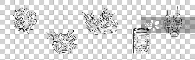 手绘的新鲜成熟有机橄榄产品图片素材