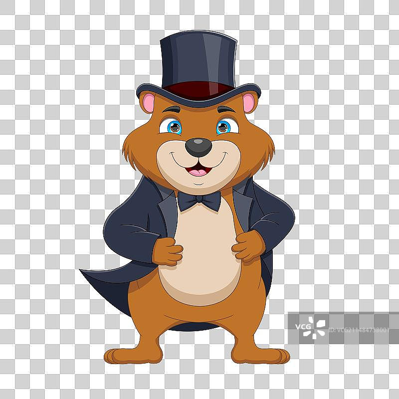 穿着优雅西装戴着帽子的可爱土拨鼠卡通图片素材