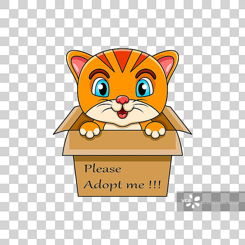 礼品盒中的可爱卡通猫图片素材