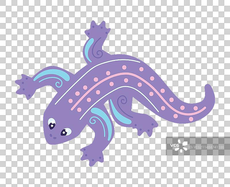 墨西哥阿莱布里赫蜥蜴图片素材