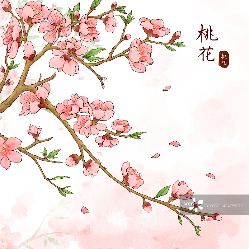 原创手绘水彩风桃花插画图片素材
