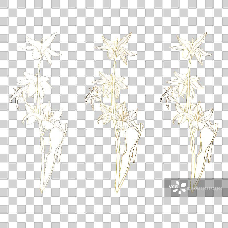 复古风格的雕刻花朵图片素材