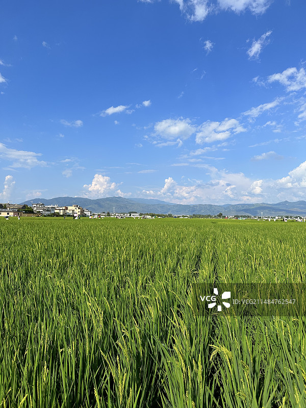 大理漫步图片素材