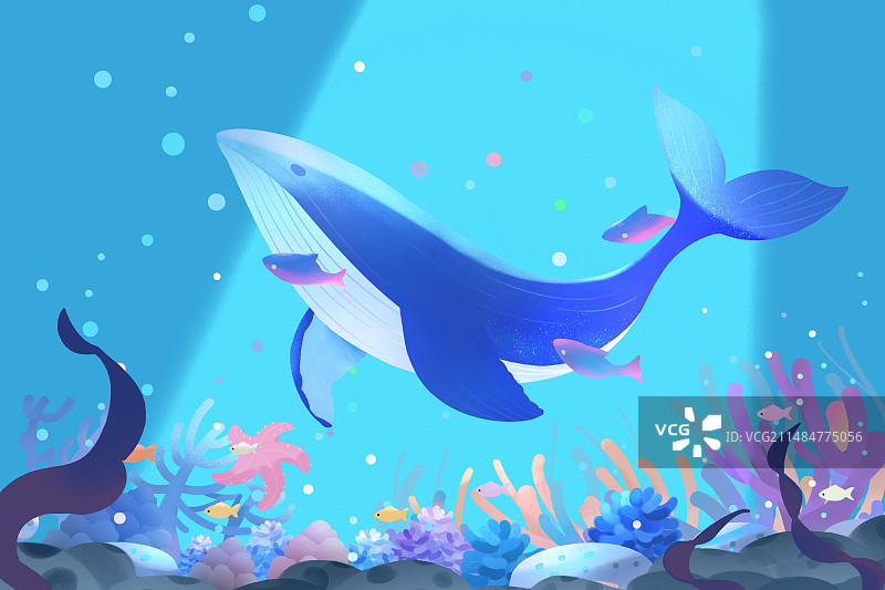 海底世界鲸鱼图片素材