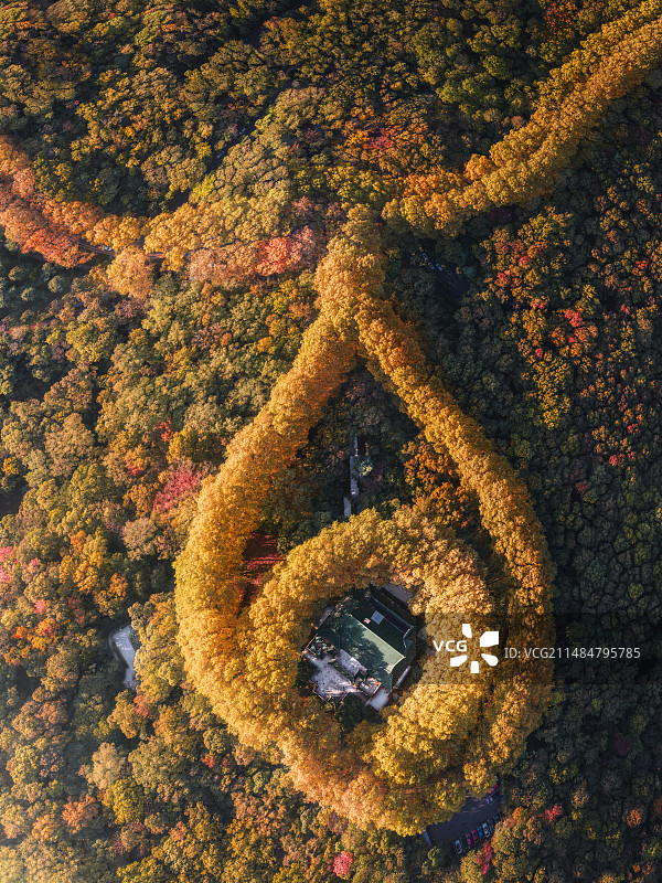 秋季航拍美龄宫图片素材