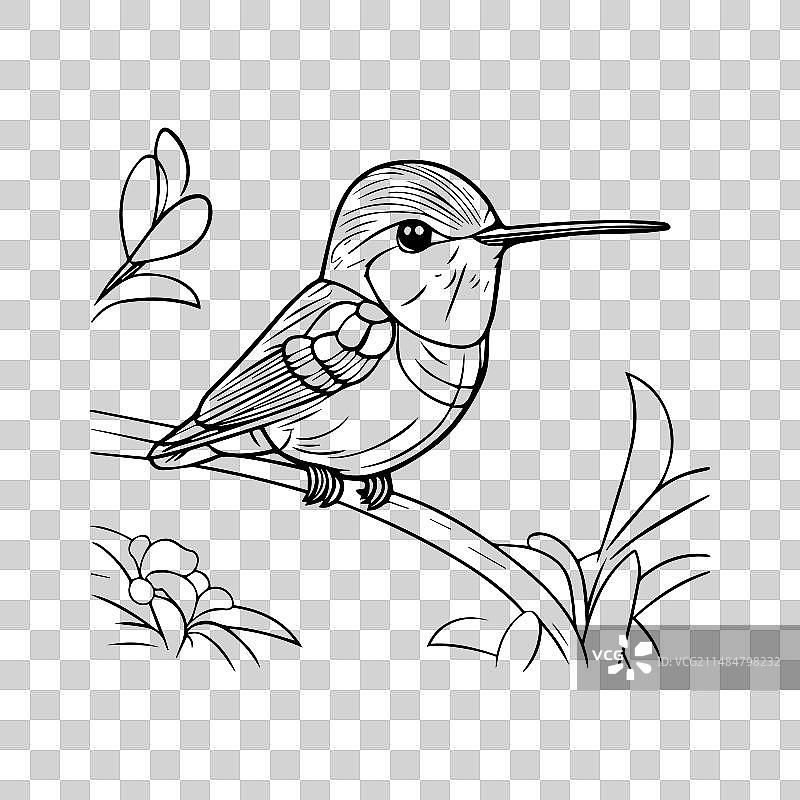 涂色书 1图片素材