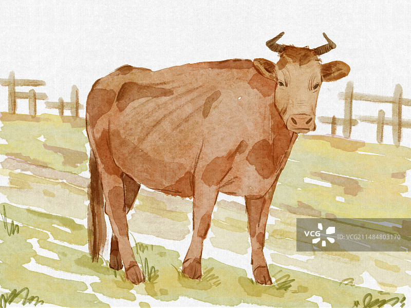 一头黄牛速写图片素材