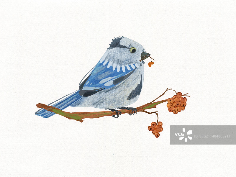 青花瓷肥啾图片素材