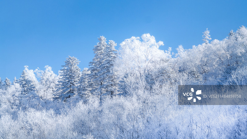 长白山雾凇图片素材