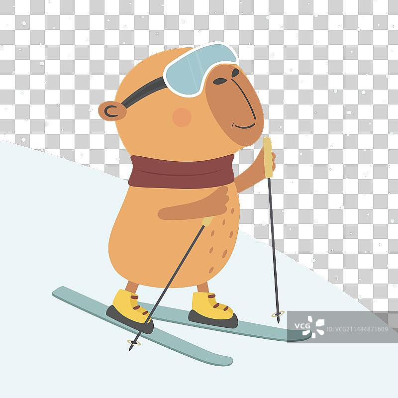 可爱水豚滑雪贺卡图片素材