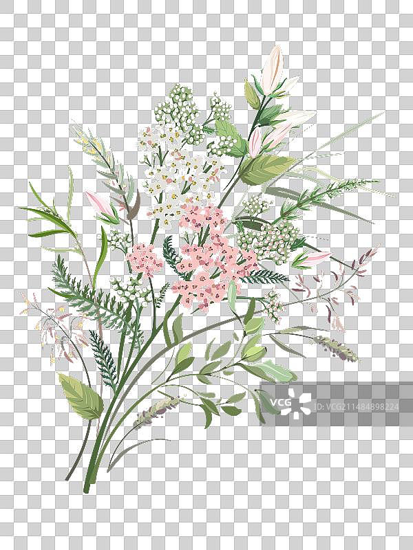 手绘花草彩色草图图片素材