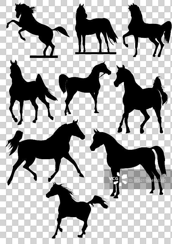 黑白骑手剪影手绘素材图片素材