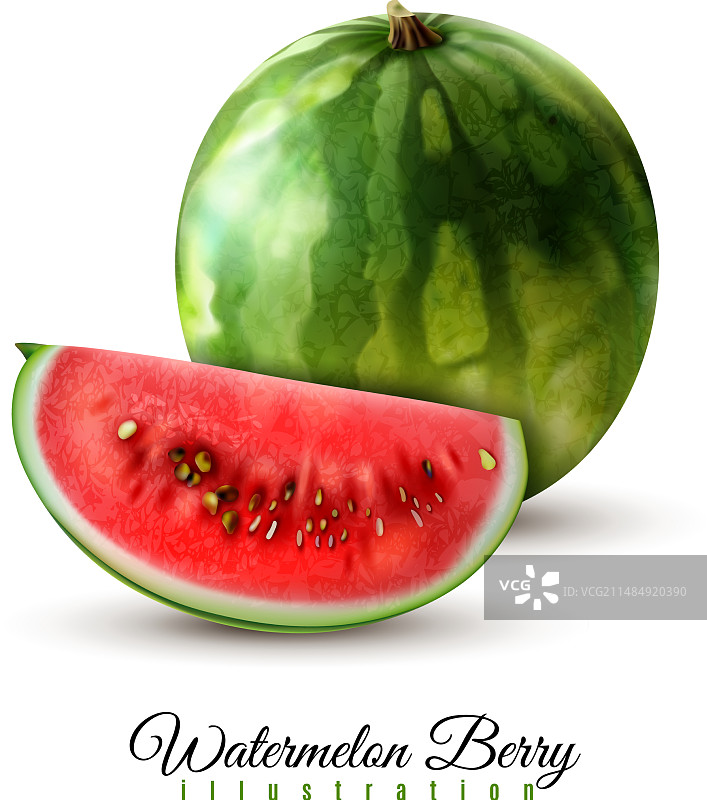 逼真的西瓜图像图片素材