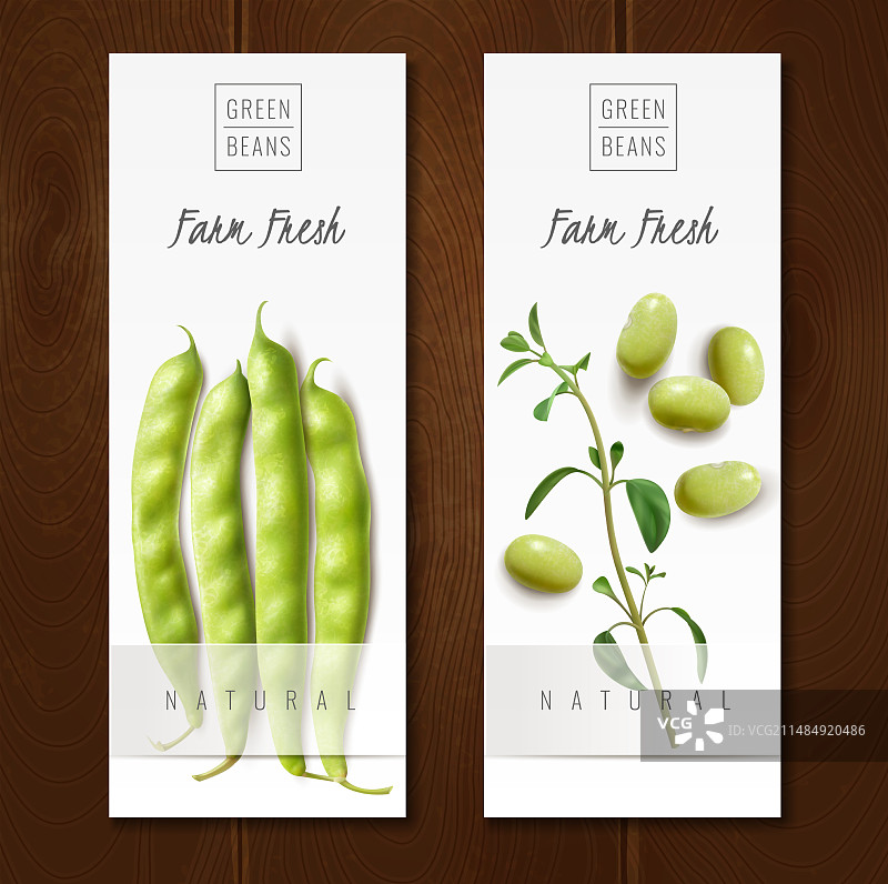 逼真的绿豆banner图片素材