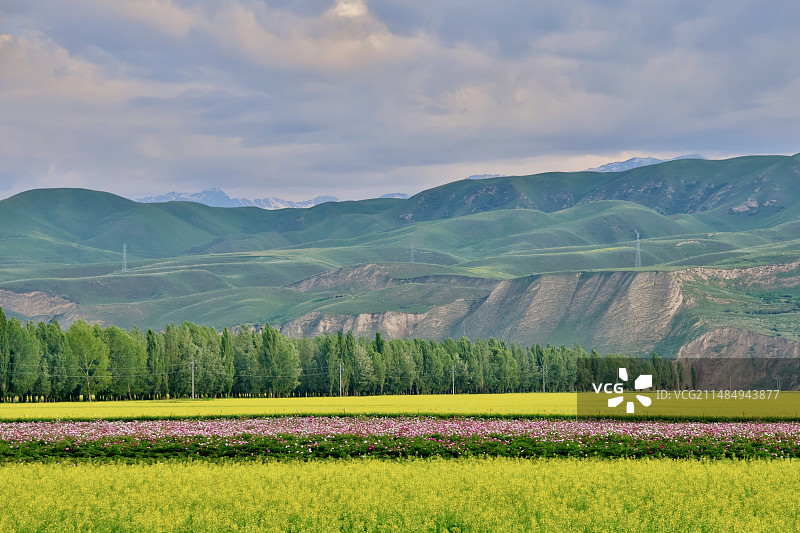 唐布拉草原图片素材