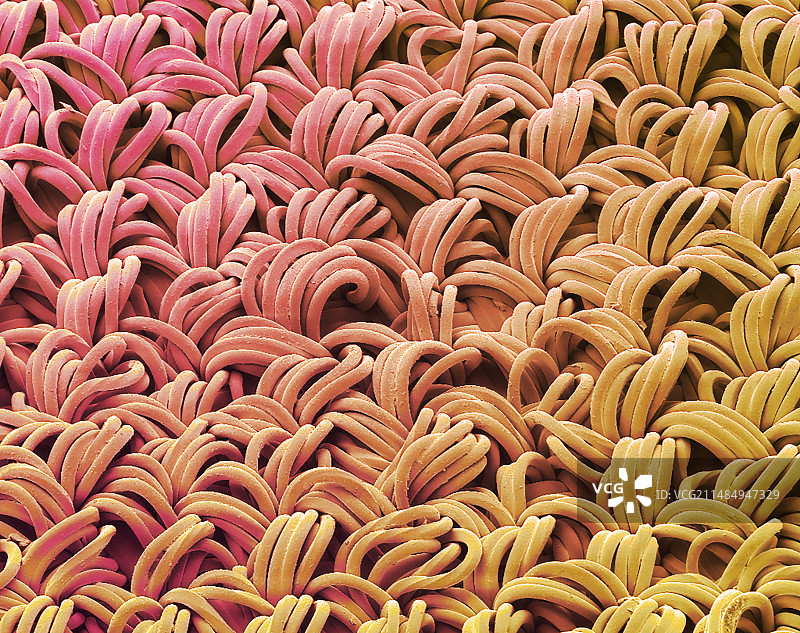 低摩擦纺织品扫描电镜图图片素材