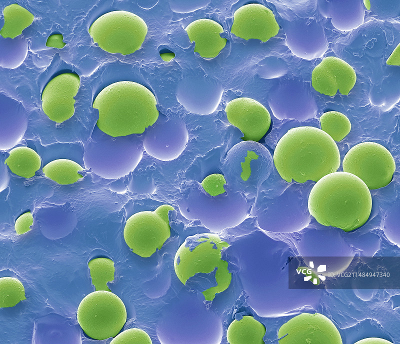 量子隧穿复合材料扫描电镜图图片素材