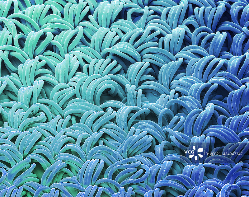 低摩擦纺织品扫描电镜图图片素材