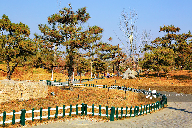 雄安新区悦容公园美景随拍中苑图片素材