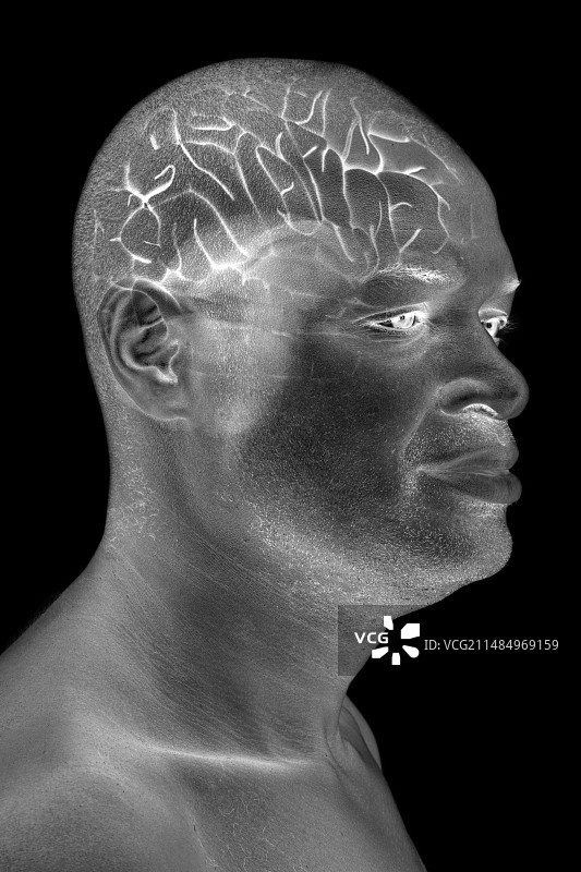 男性大脑合成图图片素材