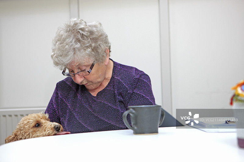 失智症动物疗法图片素材