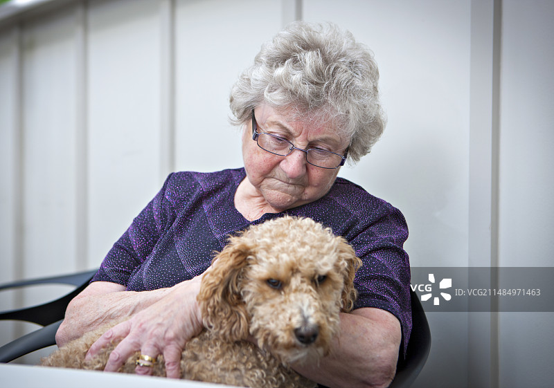 失智症动物疗法图片素材