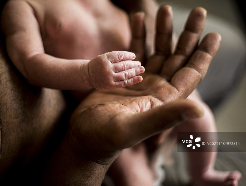 父亲和男婴的手图片素材