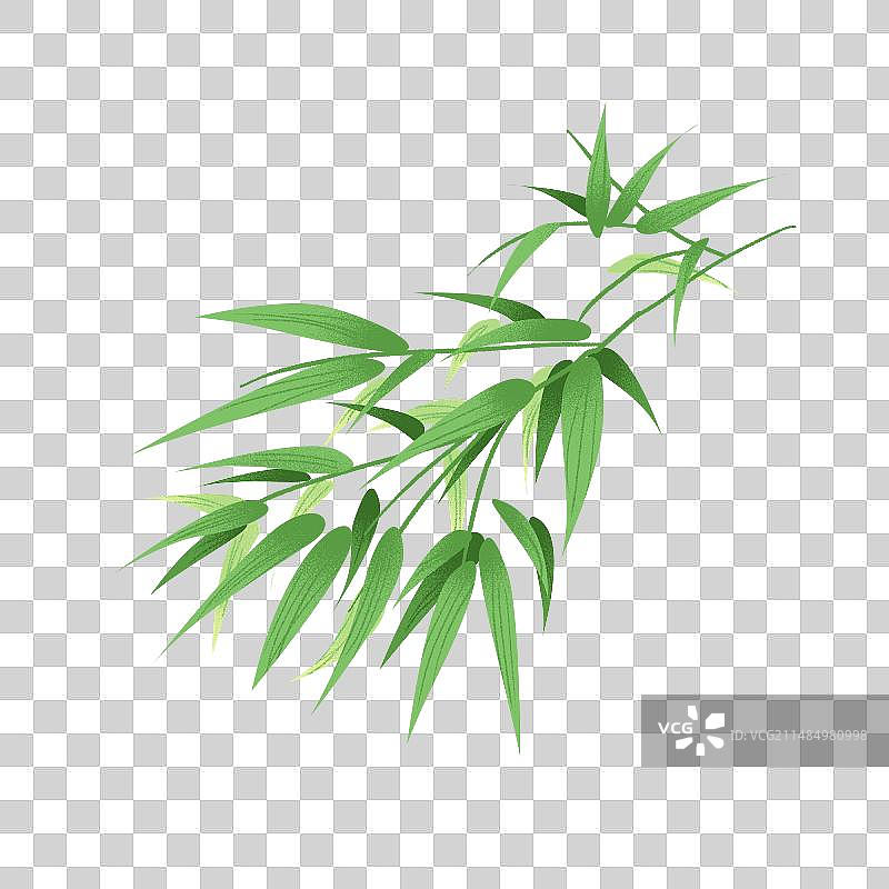 竹子通用素材图片素材