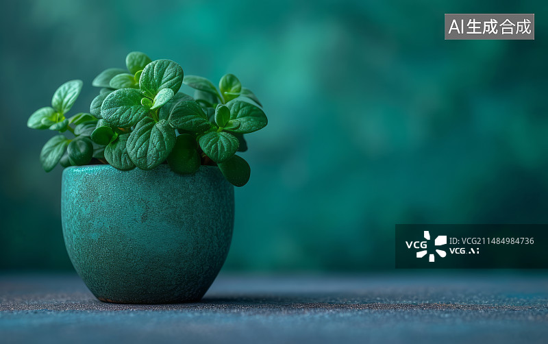 【AI数字艺术】阳台上的一盆薄荷图片素材