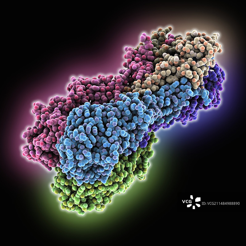 血凝素蛋白，1918年流感病毒图片素材