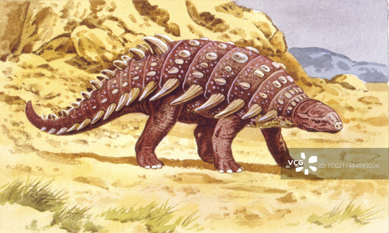 结节龙恐龙插画图片素材