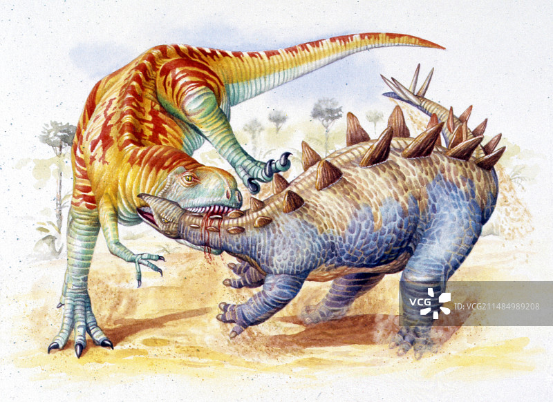 杨氏中国龙攻击剑龙图片素材