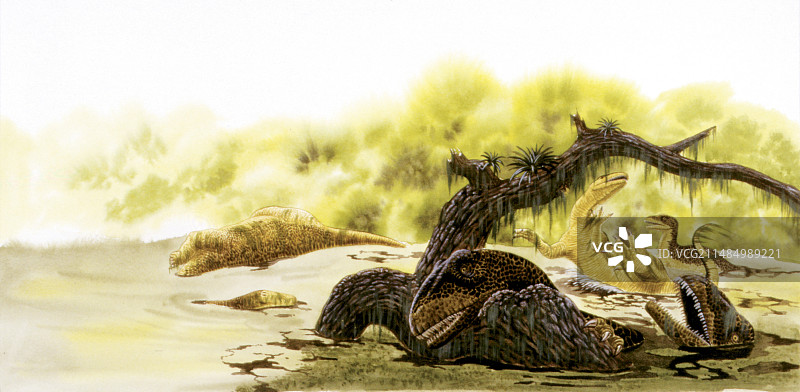 异特龙恐龙溺水图片素材