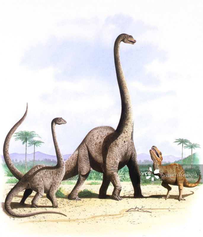 迷惑龙恐龙插画图片素材