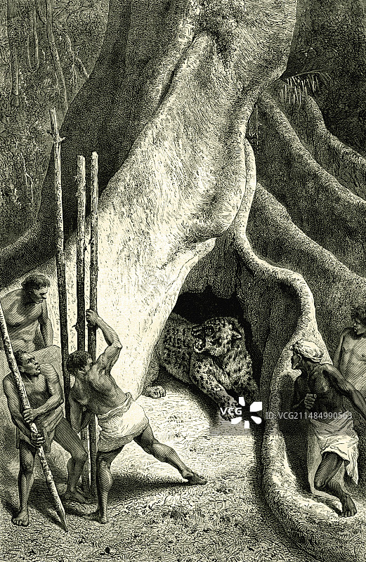 19世纪插画：男人猎杀美洲虎图片素材